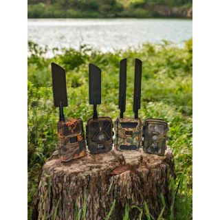 Настройка фотоловушек