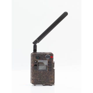 Фотоловушка BolyGuard BG410-M(S)